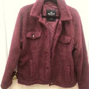 Hollister jacket xl